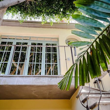 Casa Florida Bed and Breakfast Σαν Μιγκέλ ντε Αγιέντε Εξωτερικό φωτογραφία