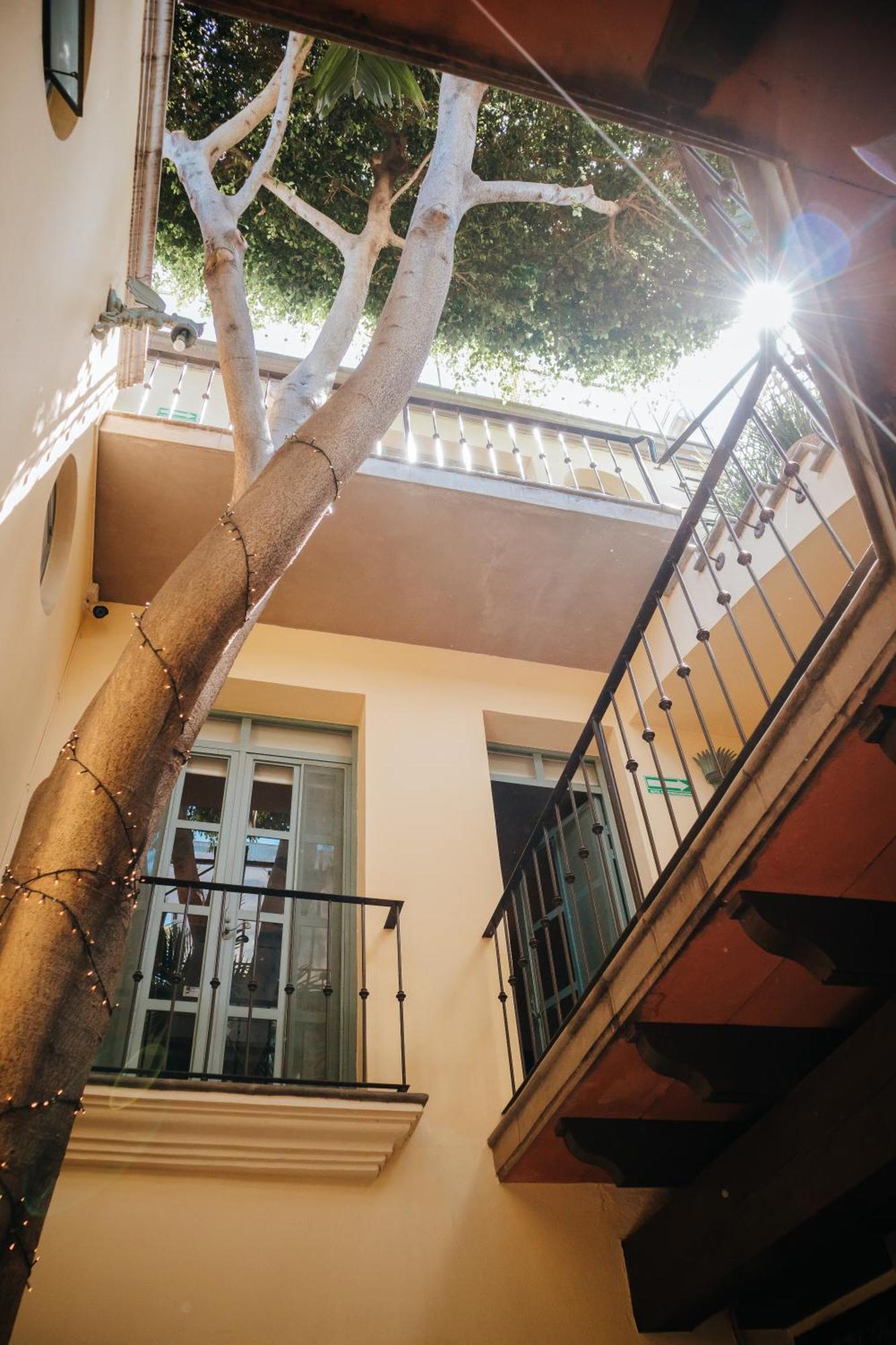 Casa Florida Bed and Breakfast Σαν Μιγκέλ ντε Αγιέντε Εξωτερικό φωτογραφία