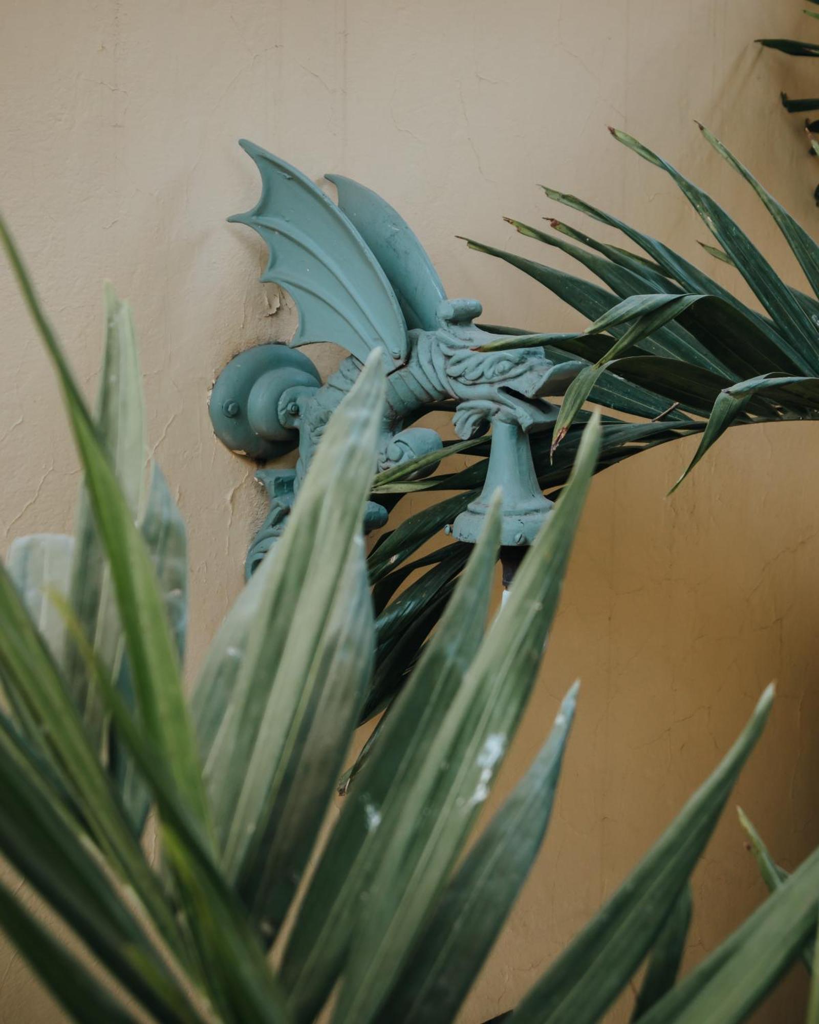 Casa Florida Bed and Breakfast Σαν Μιγκέλ ντε Αγιέντε Εξωτερικό φωτογραφία