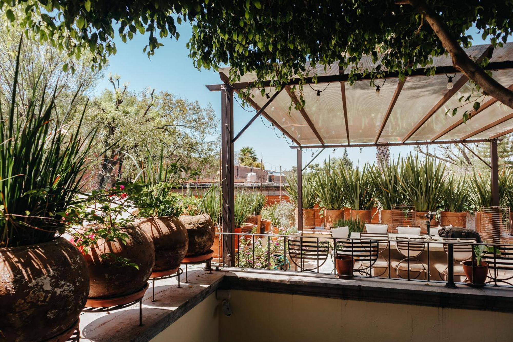 Casa Florida Bed and Breakfast Σαν Μιγκέλ ντε Αγιέντε Εξωτερικό φωτογραφία