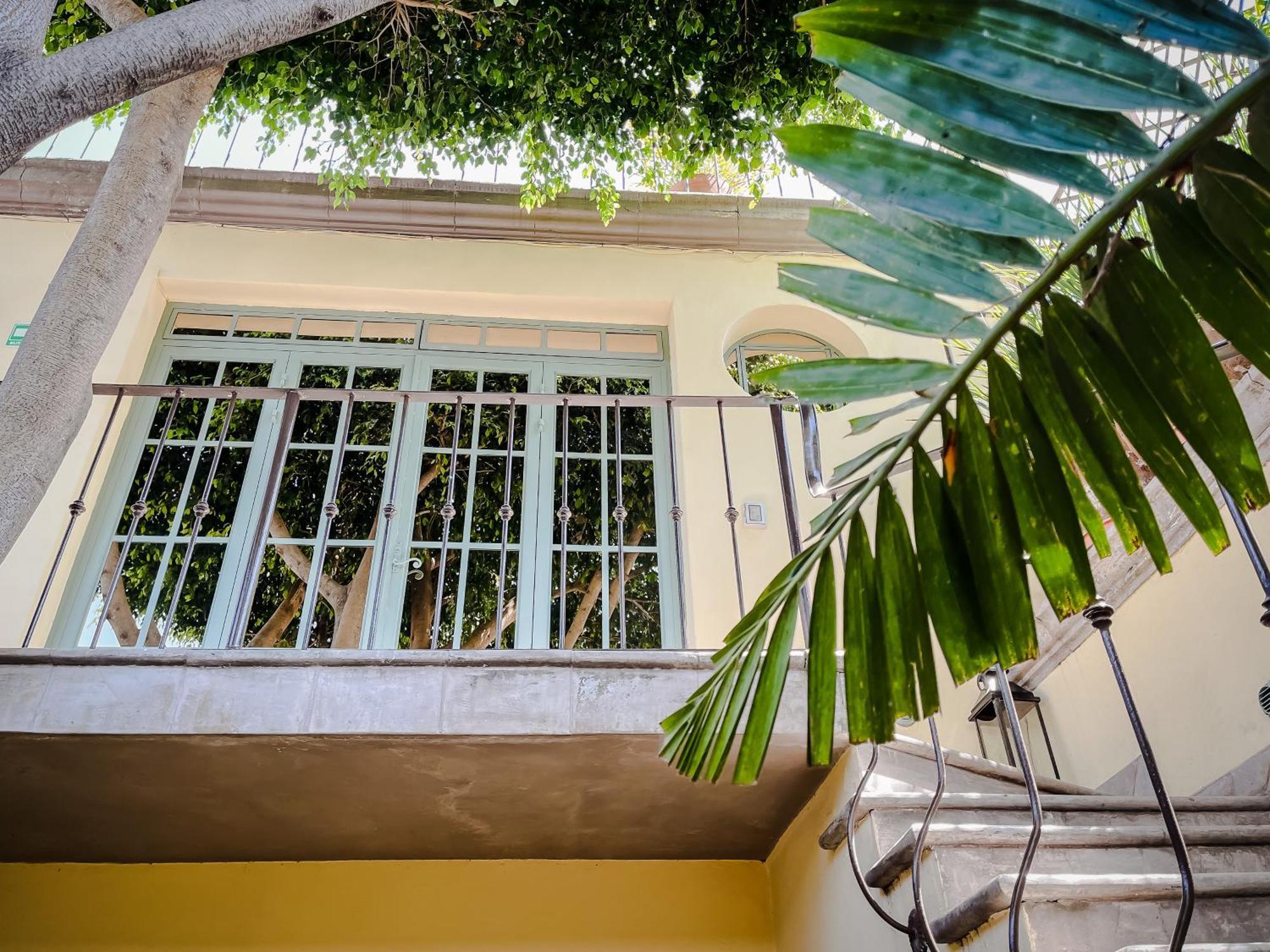 Casa Florida Bed and Breakfast Σαν Μιγκέλ ντε Αγιέντε Εξωτερικό φωτογραφία